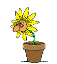 fleurs : fleur10.gif